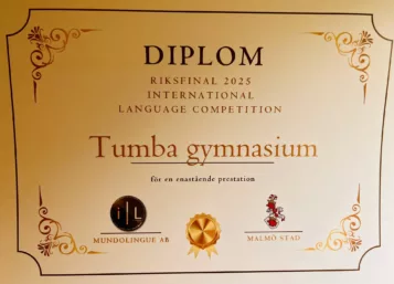 Final i språkolympiad