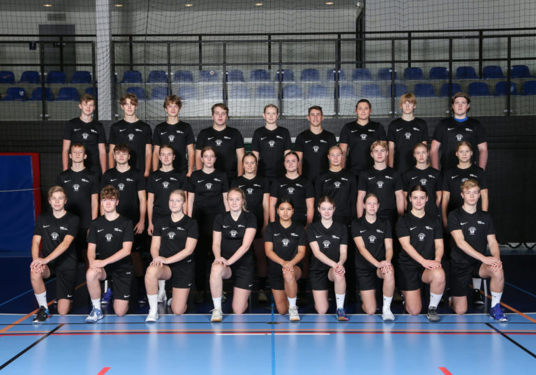 NIU handboll